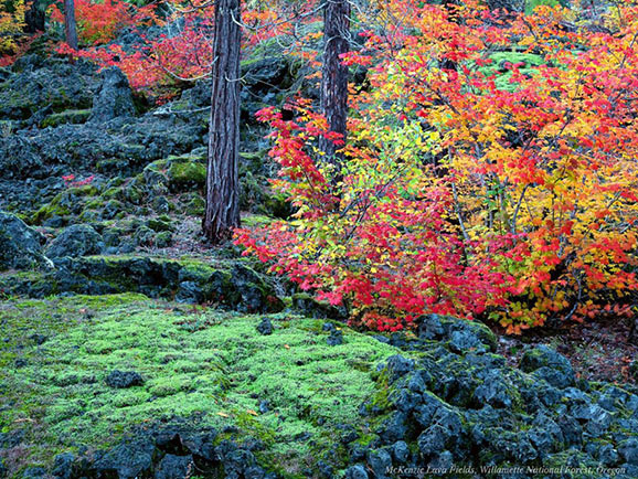 fotografii frumoase natura superba