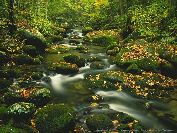 fotografii frumoase natura superba