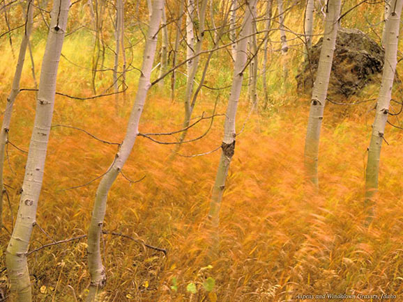 fotografii frumoase natura superba
