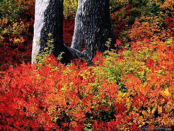 fotografii frumoase natura superba