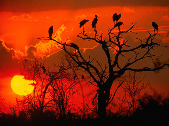 fotografii frumoase natura superba