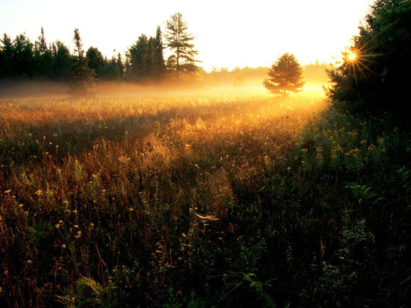 fotografii frumoase natura superba